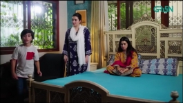 Shehzadi House - Episode 31